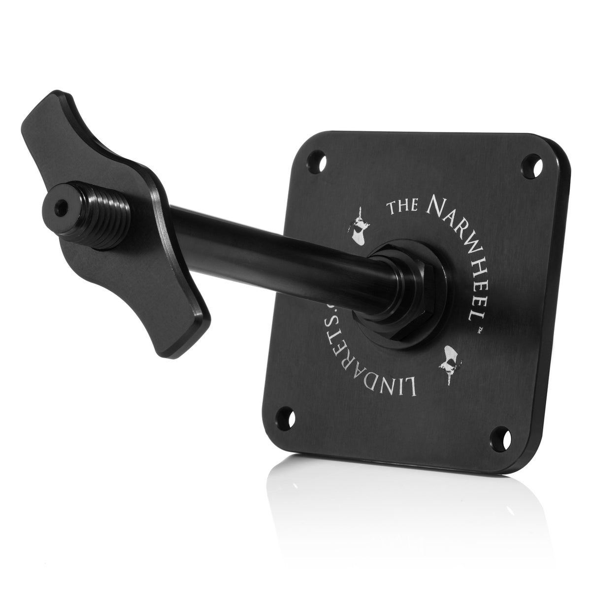 Through axle bike mount shop
