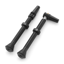 Load image into Gallery viewer, Black Titanium Tubeless Valve Stems
