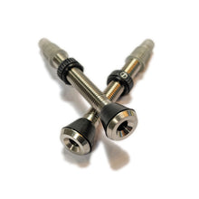 Load image into Gallery viewer, Natural Titanium Tubeless Valve Stems
