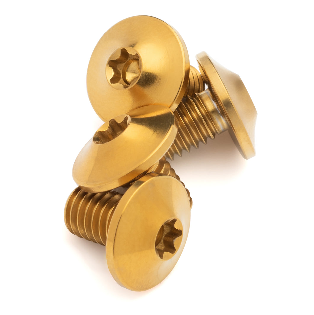 Gold Titanium Lightweight Rustproof License Plate Screws